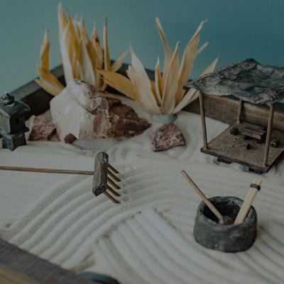 Minimalist zen garden detail